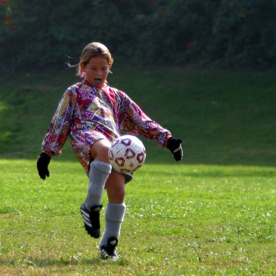 Blue-tongued Angel goalie