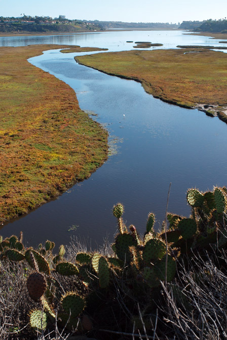 Looking down the bay