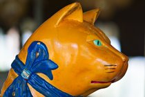 Carousel Cat