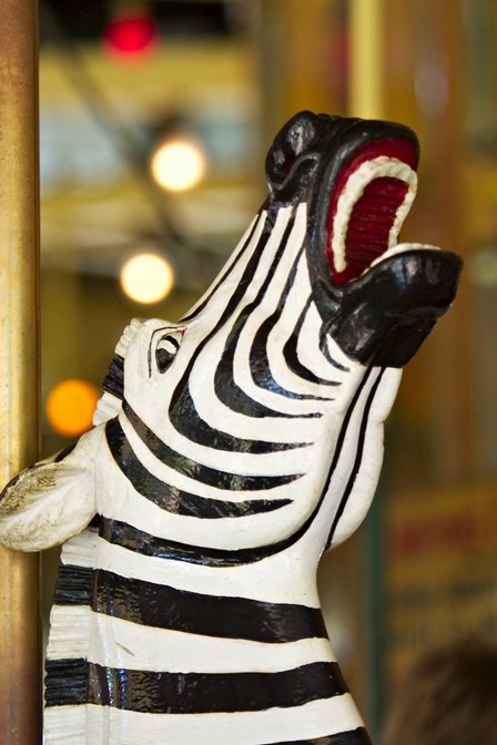 Carousel Zebra