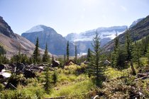 Victoria Glacier Valley, I