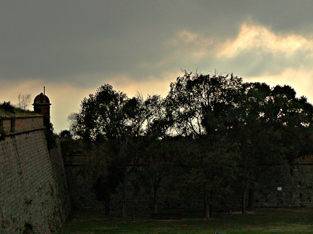 Walled field