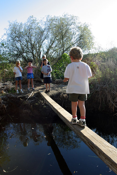 Timothy walks the plank