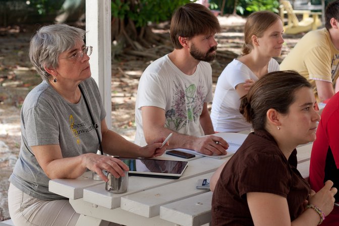 Progress Report Audience, II