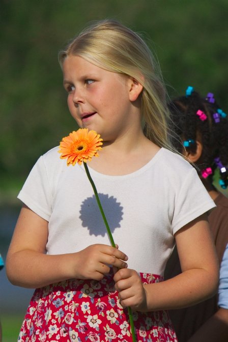 Flower shaped shadow