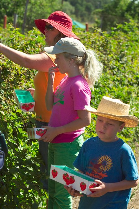 Diana, Sara, and Timothy