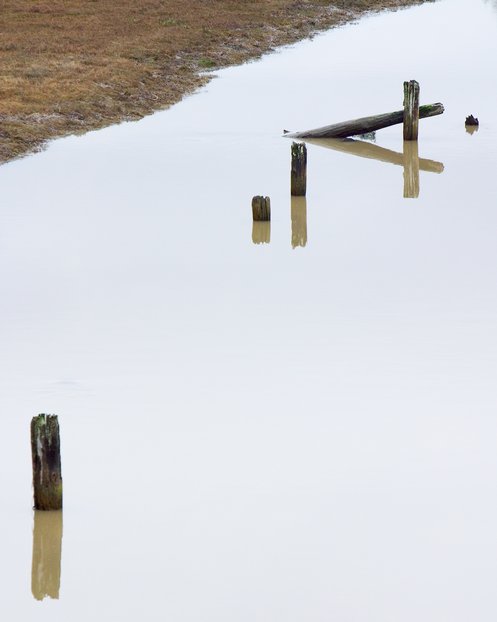Pilings