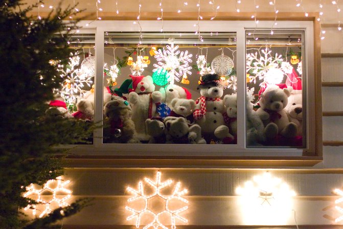 Teddy Bear Window