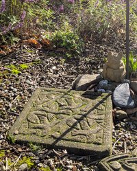 Buddha Cat dreams of Escher birds