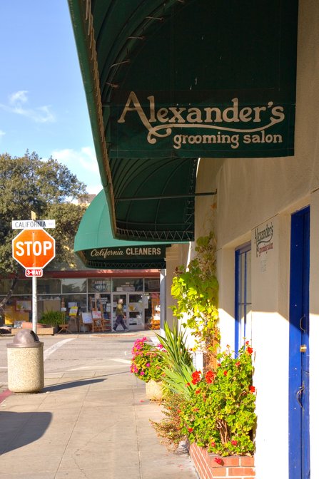 Alexanders Grooming