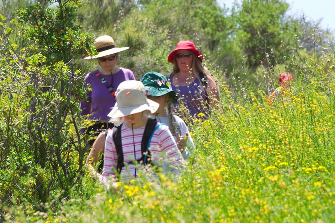 Hiking Through Flowers, I