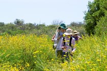 Hiking Through Flowers, II