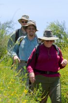 Hiking Through Flowers, V