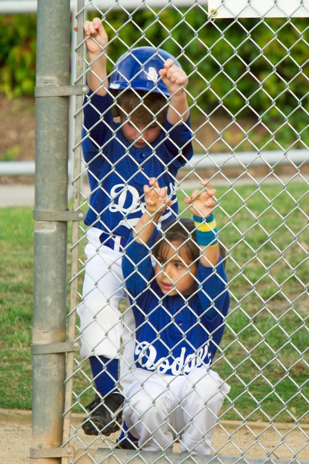 Backstop Dodgers