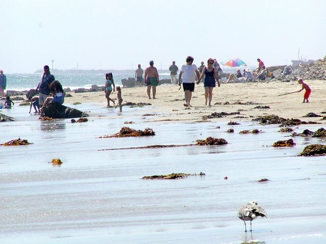 Crowded beach