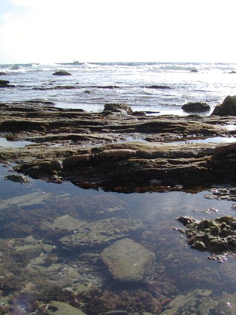 Tide pools