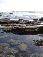 Tide pools