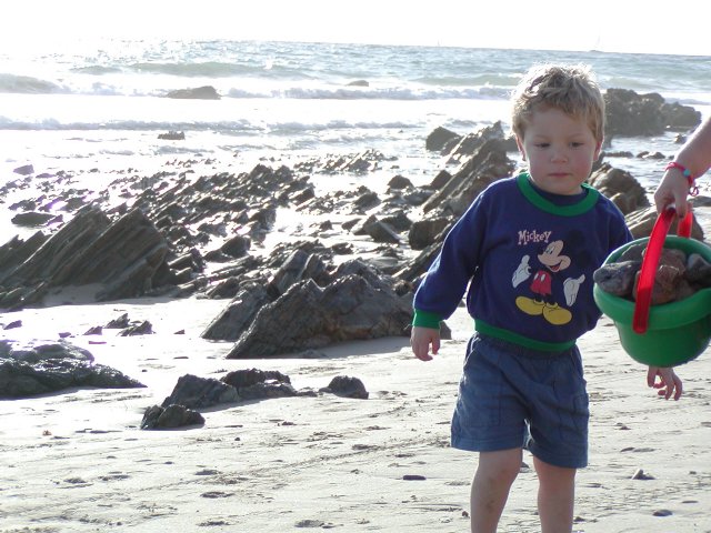 Timothy examines a bucket full of rocks