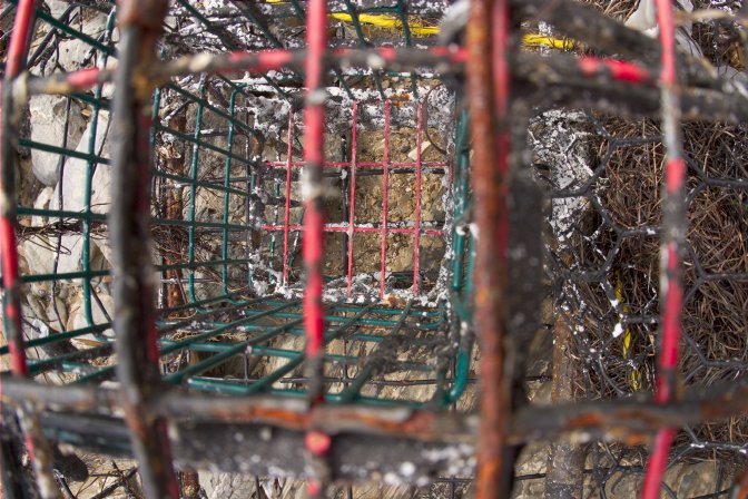 Lobster trap, II