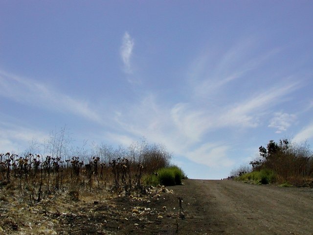 Behind University Hills