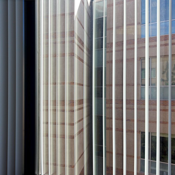 The view from my desk