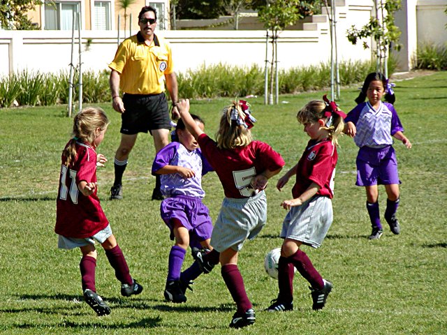 A confusing mel&eacute;e