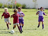 Vanessa and Lindsay take on two butterflies