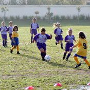 Vanessa and Chandler on the attack