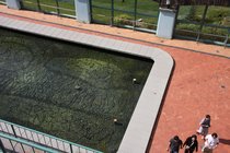 Cave And Basin Hot Springs, I