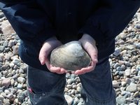 Duxbury Beach, IV