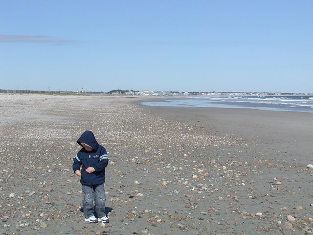 Duxbury Beach, VI