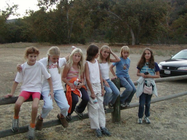 Fence Girls