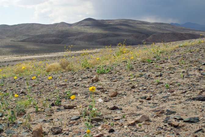 Landscape near Ashford Mill
