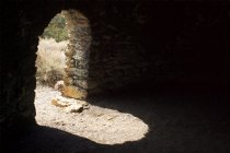 Looking out from a charcoal kiln