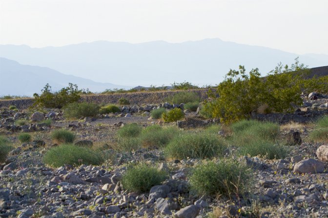 Park entrance, Death Valley Junction Road