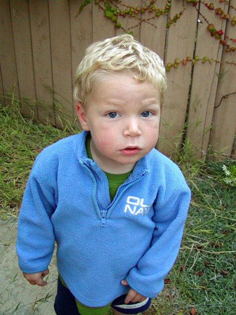 Timothy in side yard