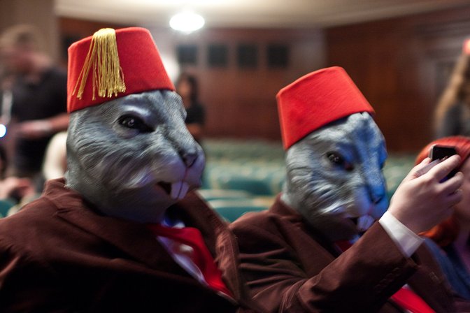 Fez Rabbits
