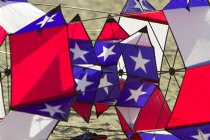 Patriotic box kite