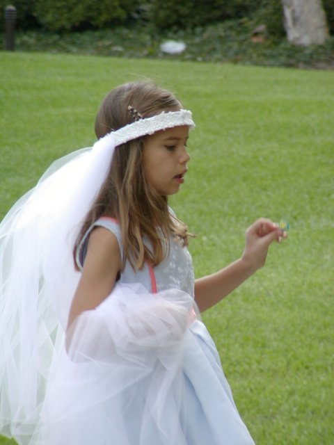 Sophia as Fairy Godmother