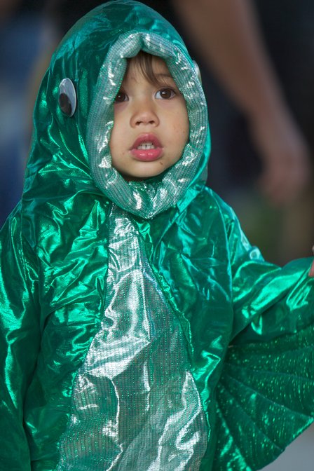 Green Fish