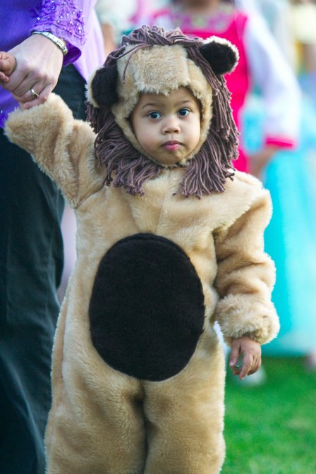 Lion
