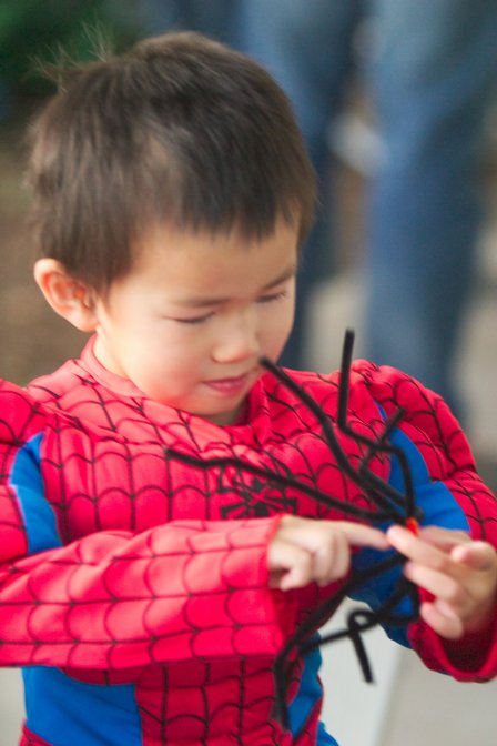 Spiderman