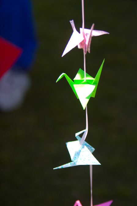 Origami Cranes