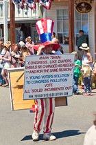 Congress Like Diapers