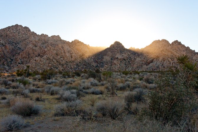 Late Afternoon Sun, II