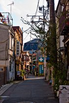 Alley With Photo Gallery