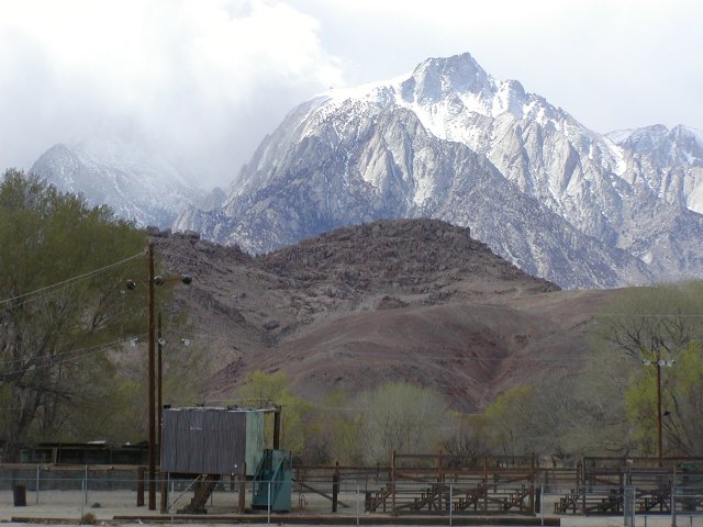 Lone Pine