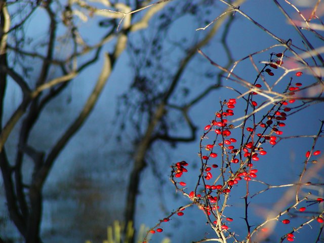 Palmer-Blechertown bridge