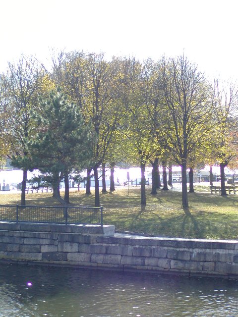 Across Lechmere Canal