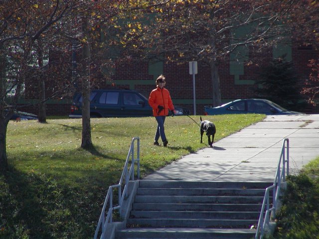 Orange jacket, black dog